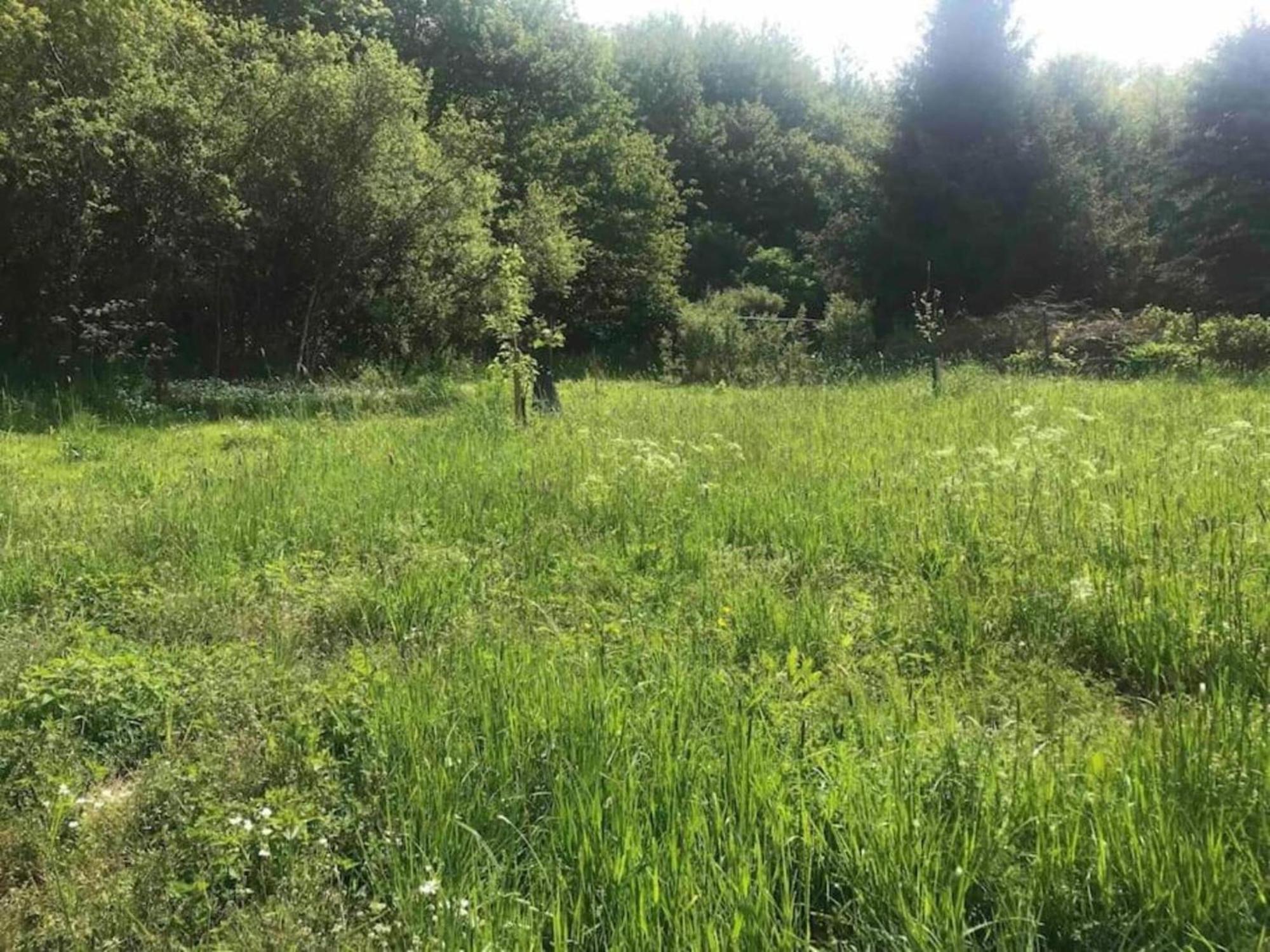 Apartment With Garden In A Wooded Setting Auw bei Prum Esterno foto