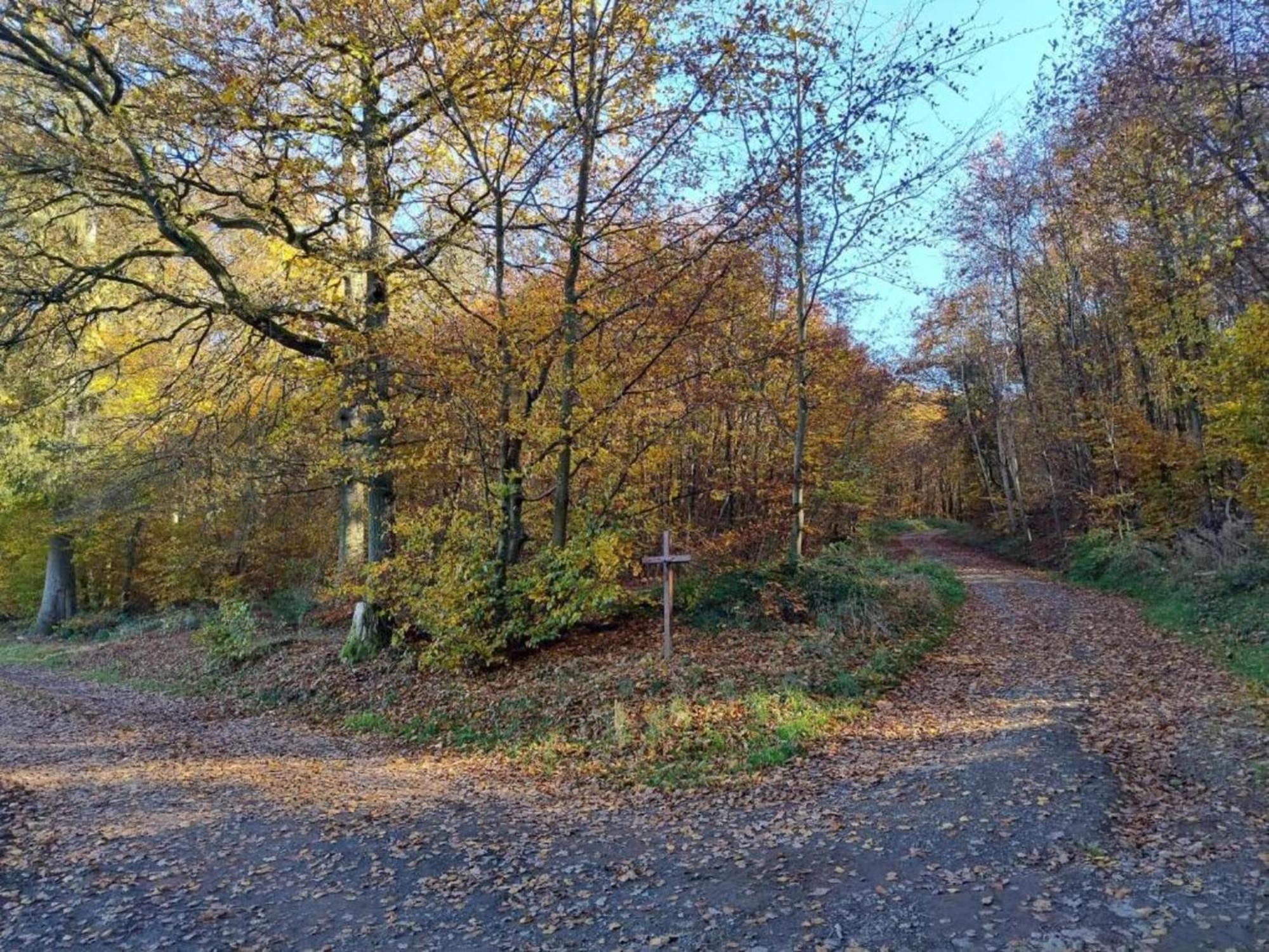 Apartment With Garden In A Wooded Setting Auw bei Prum Esterno foto