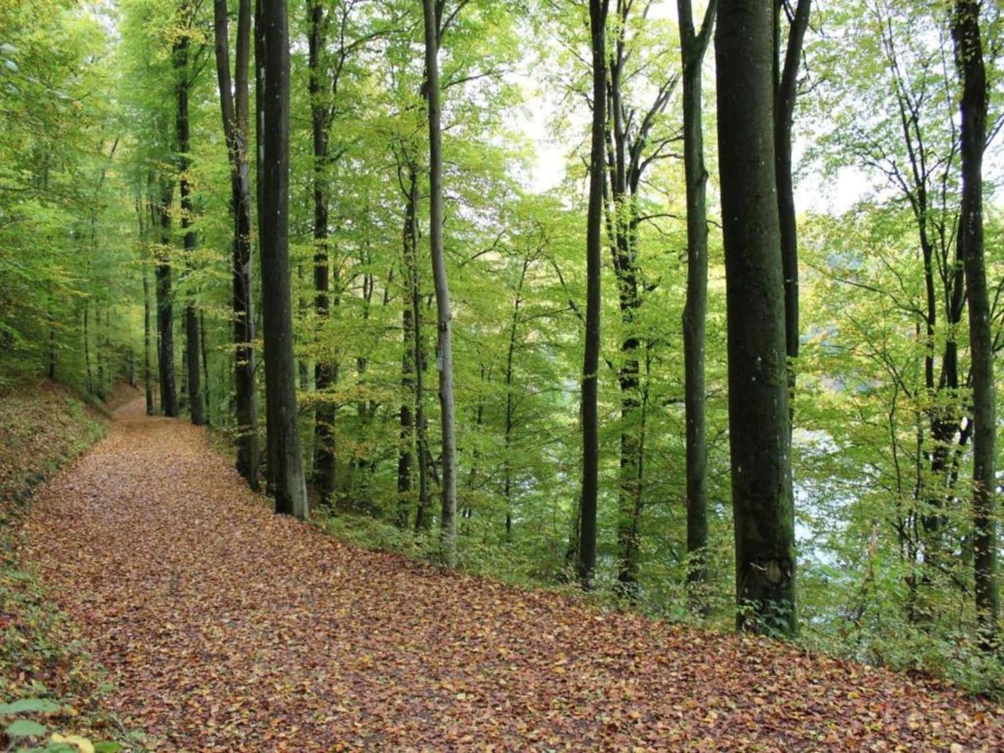 Apartment With Garden In A Wooded Setting Auw bei Prum Esterno foto